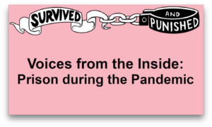 voices from inside during a pandemic text and the survived and punished logo